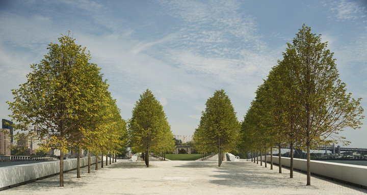Linden Trees in Four Freedoms Park on Roosevelt Island, NY © Paul Warchol 